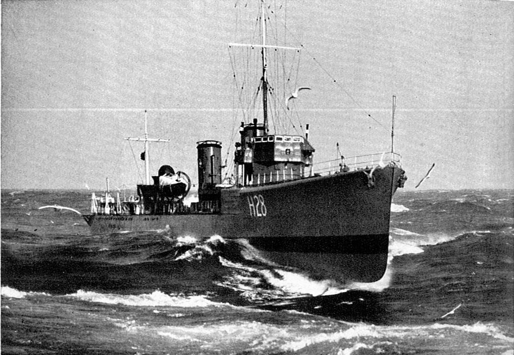 Photograph associated with HMS Sturdy (H28)